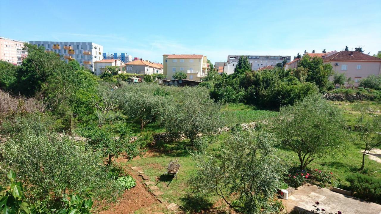 זאדאר F-Holiday Apartment מראה חיצוני תמונה